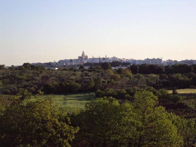 B&B Masseria Nardelli Locorotondo Eksteriør bilde